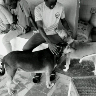 Pape Jean Paul Bakhoum