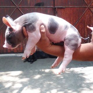 Oliver Martinez Martinez