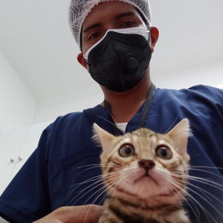 Kevin David Gonzales