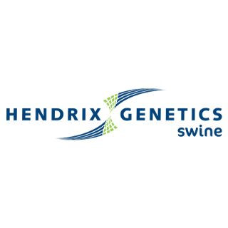 Hendrix Genetics Swine  