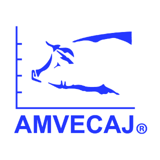 AMVECAJ  