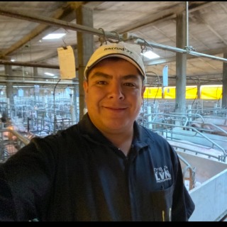 jose sinecio robles