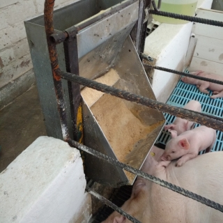 miguel palomino vasquez