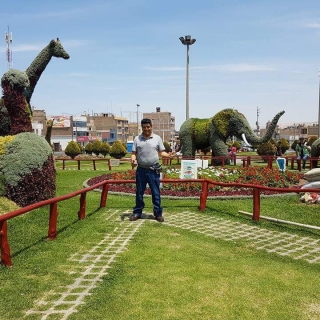 federick tello palomino